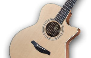Furch Gitarre