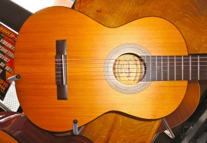 Konzertgitarre Guitar Shark