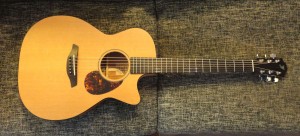 Furch Western Gitarre