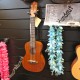 Ortega Ukulelen