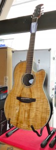 Ovation Gitarre
